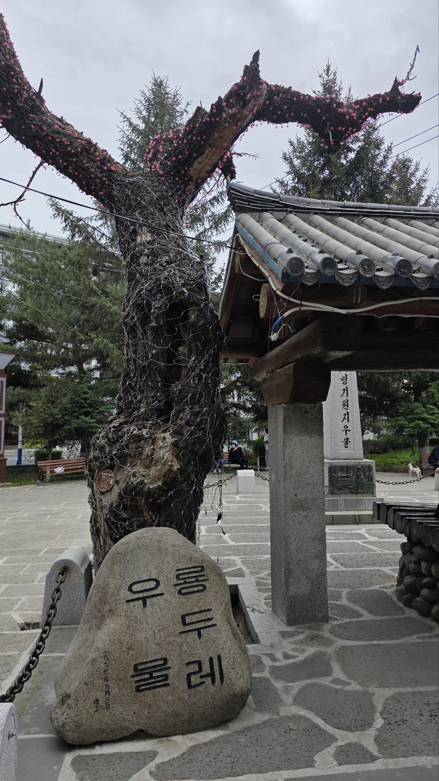 용두레 우물